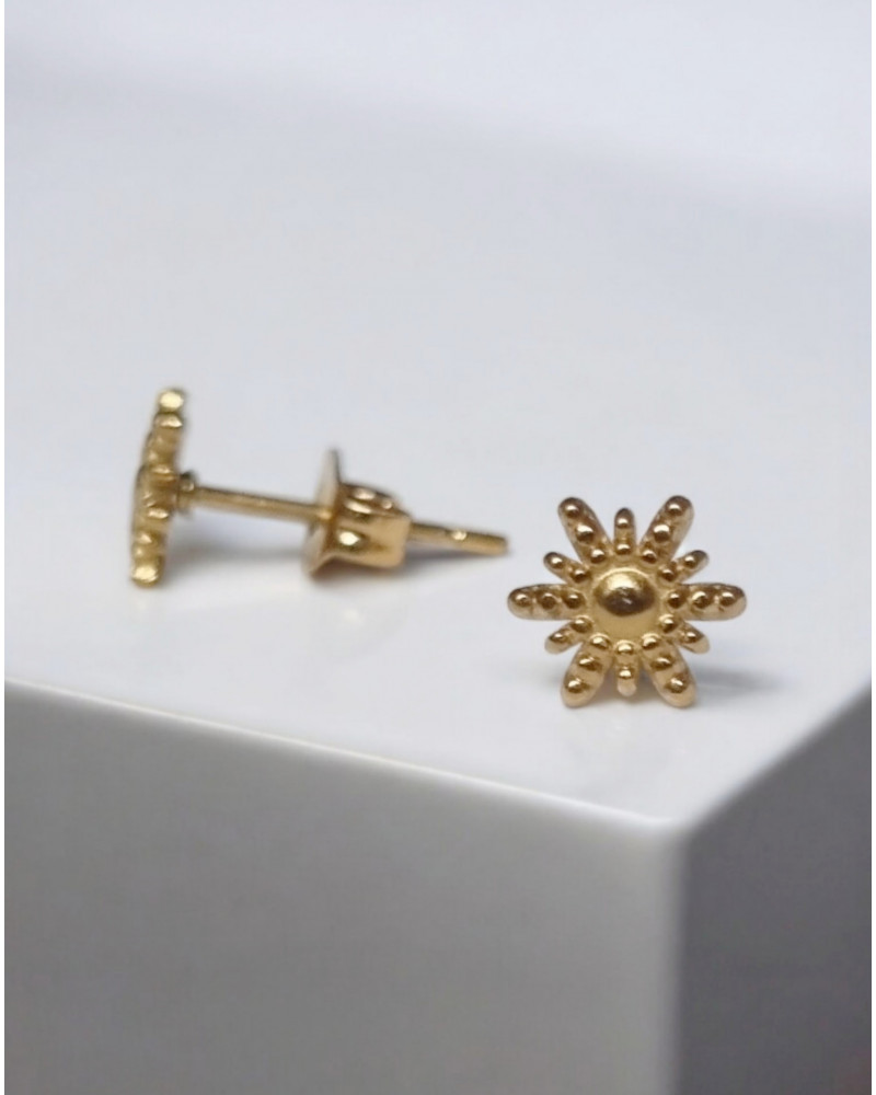 Oorknopjes RVS Zon  | goud of zilver