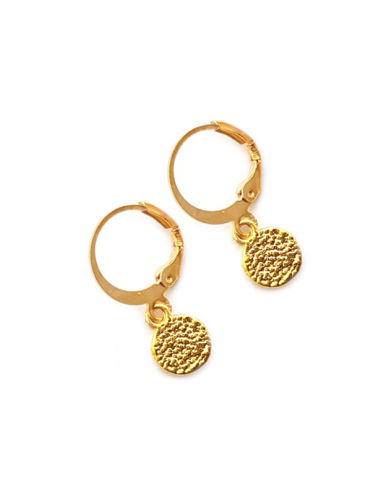 Oorringen | FINE | Small Coin Oorringen | FINE | Small Coin