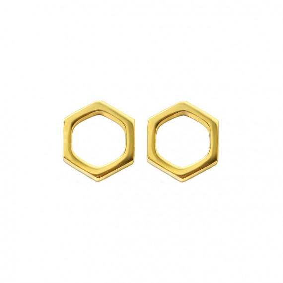 Oorknopjes | SELECT | RVS | hexagon goud