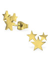 Oorknopjes | SELECT | RVS | Stars goud