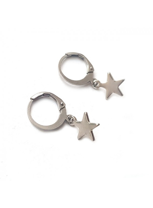 Oorringen | FINE | RVS | ster