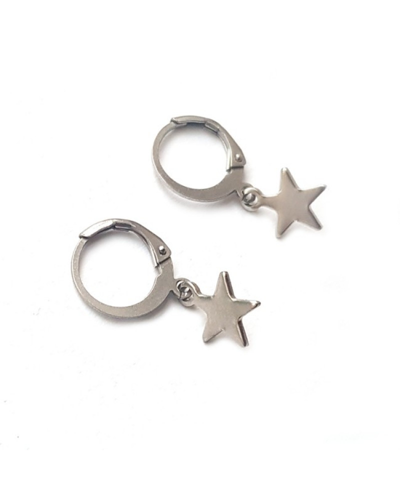 Oorringen | FINE | RVS | ster