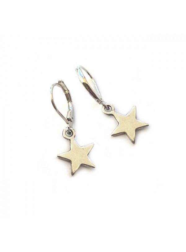 Oorbellen | FINE | ster