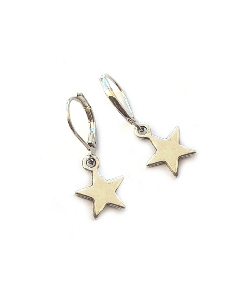 Oorbellen | FINE | ster