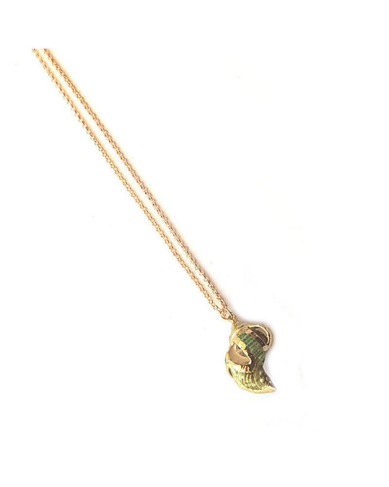 Ketting | Schelp | Groen